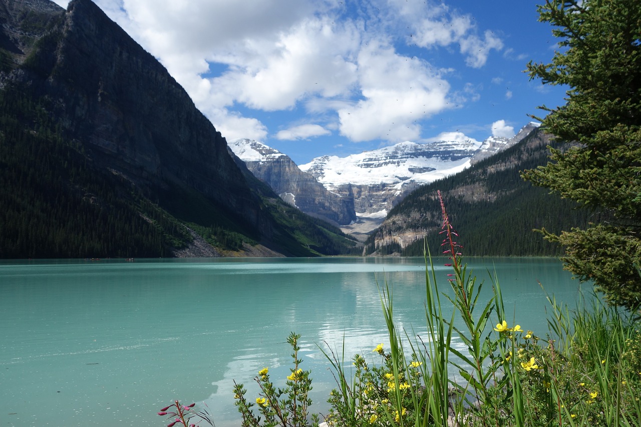 Top Hiking Trails in Banff National Park